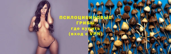 МДМА Каменногорск